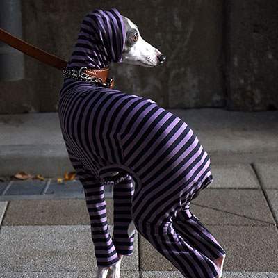 イタグレ服◇IG WORKS（アイ・ジー・ワークス）◇