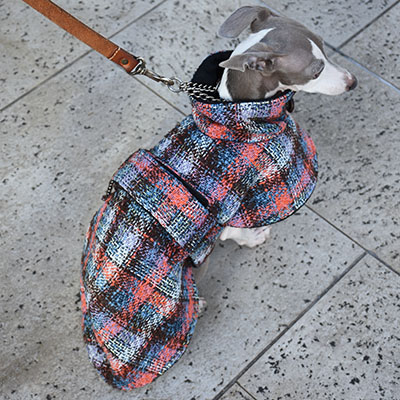 イタグレ服◇IG WORKS（アイ・ジー・ワークス）◇